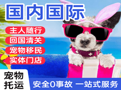 喀什徕宁空运国际宠物托运 【国